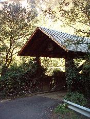 1584  PERUCATTI  2006.JPG